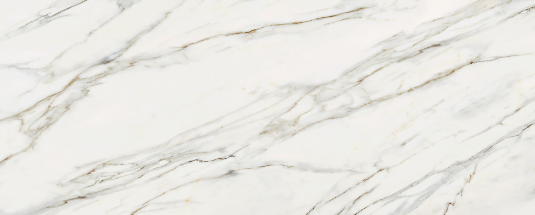 Calacatta Gold